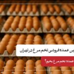 بهترین عمده فروشی تخم مرغ در تهران